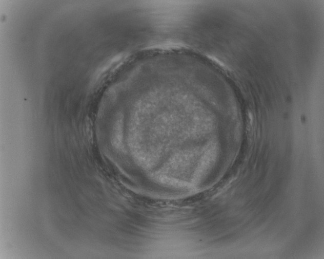 X0000074341398200609152110