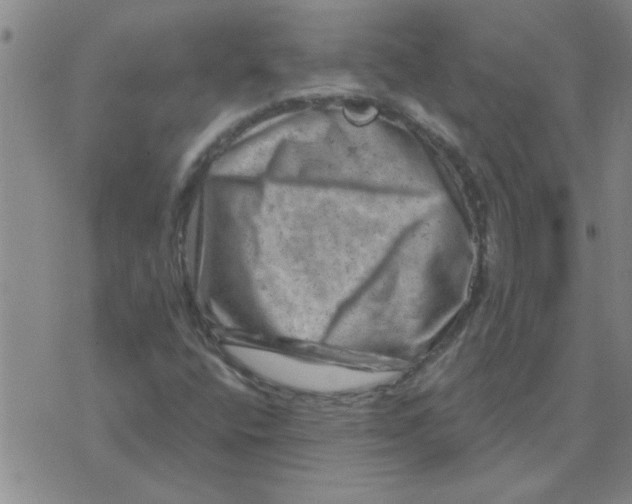 X0000074341400200609152110