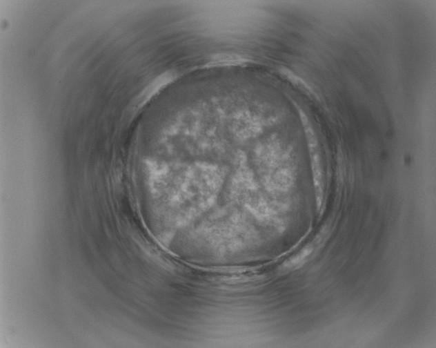 X0000074341401200609152110