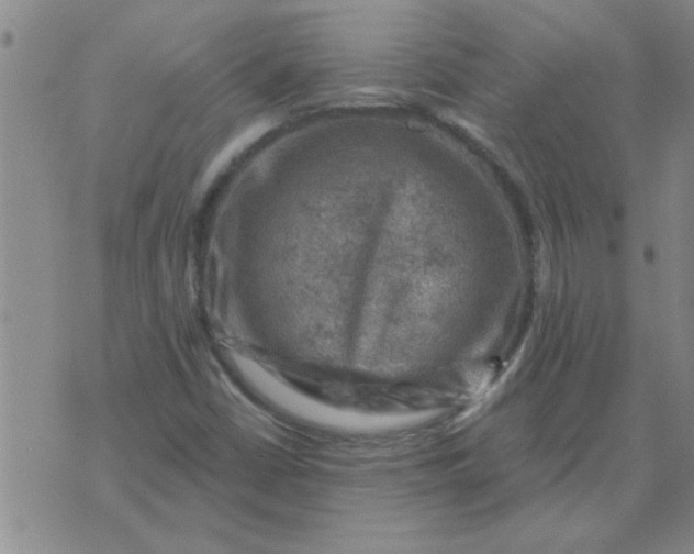 X0000074341402200609152110