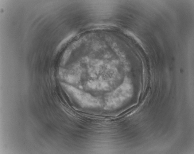 X0000074341403200609152110