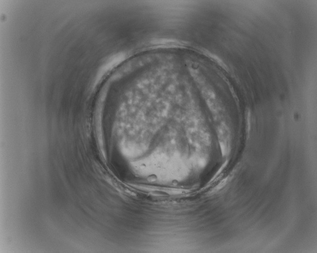 X0000074341405200609152110