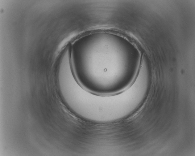 X0000074341406200609152110