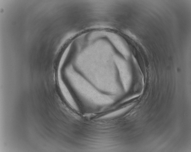 X0000074341408200609152110