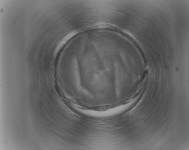 X0000074341410200609152110