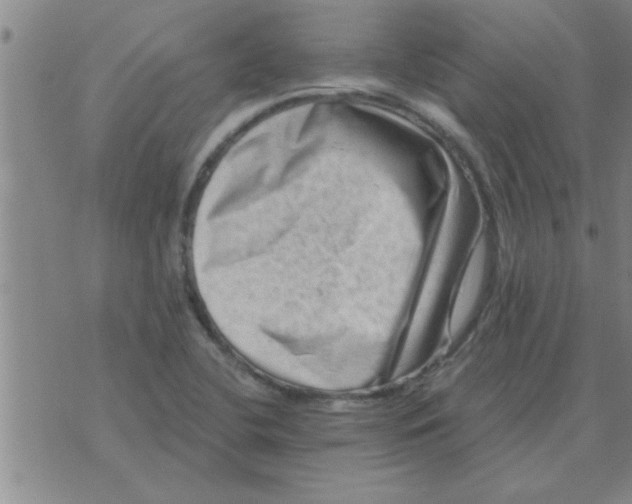 X0000074341412200609152110