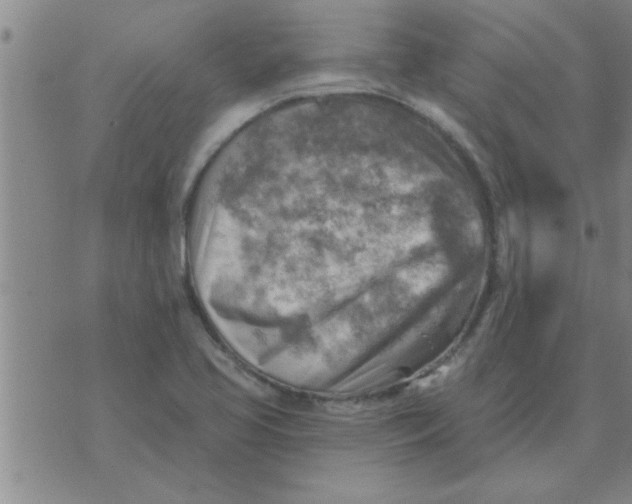 X0000074341413200609152110