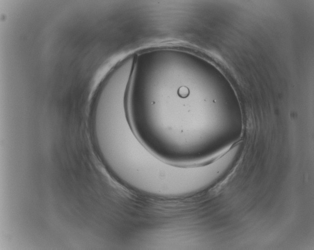 X0000074341414200609152110