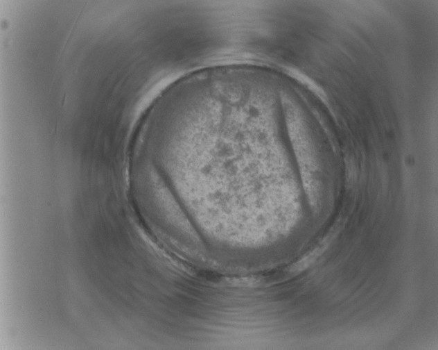 X0000074341415200609152110