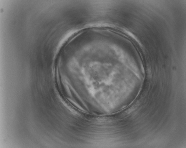 X0000074341416200609152110