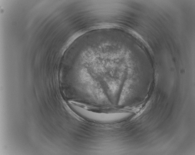 X0000074341417200609152110