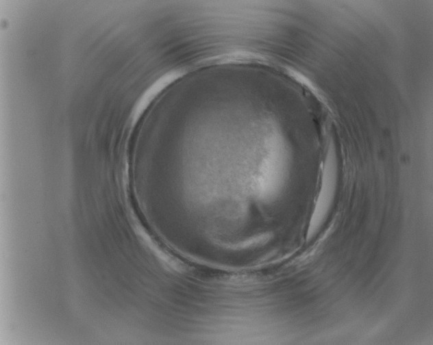 X0000074341418200609152110