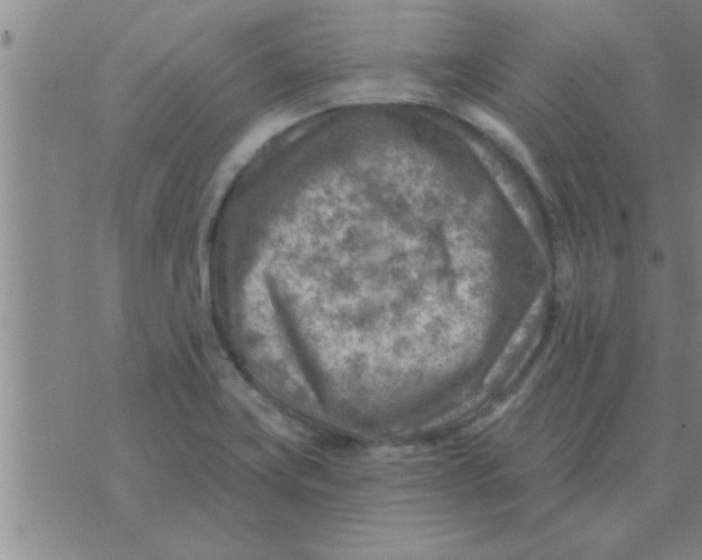 X0000074341419200609152110