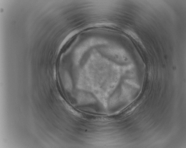 X0000074341420200609152110