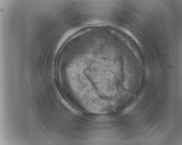 X0000074341421200609152111