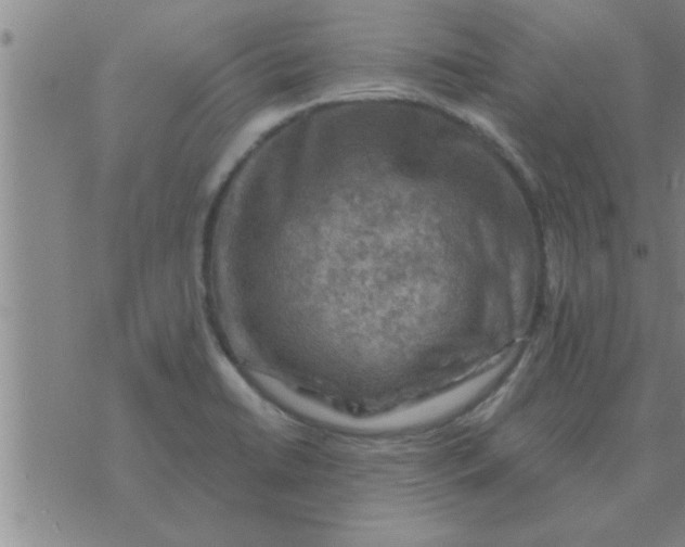 X0000074341422200609152111