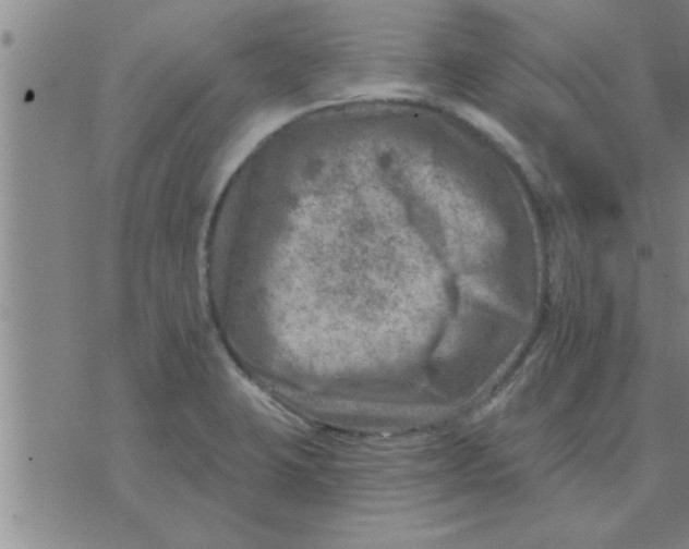 X0000074341423200609152111