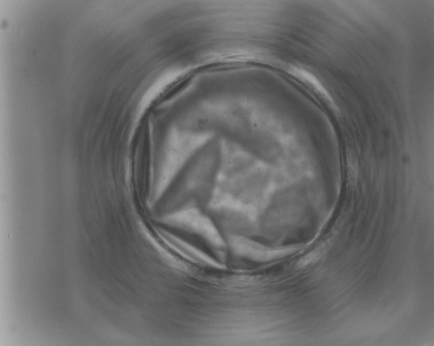 X0000074341424200609152111