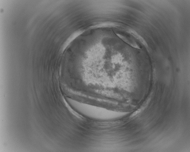 X0000074341425200609152111