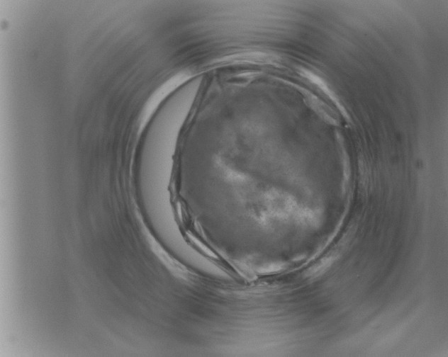 X0000074341426200609152111