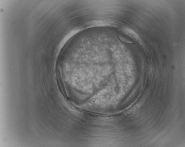 X0000074341427200609152111