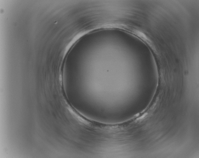 X0000074341428200609152111