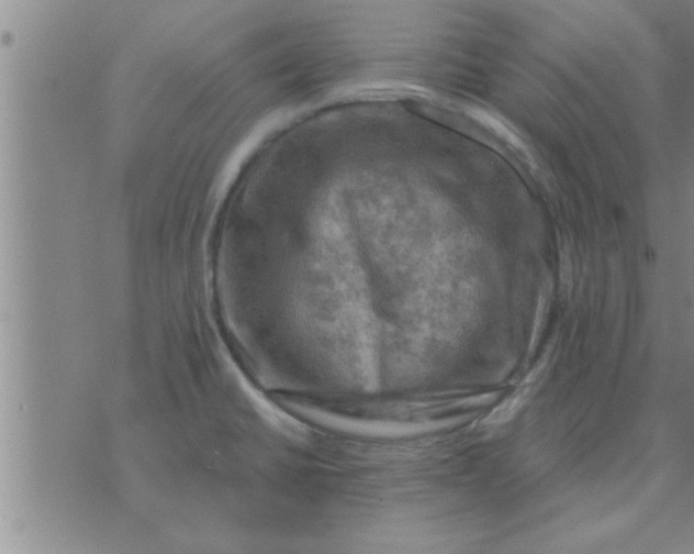 X0000074341430200609152111