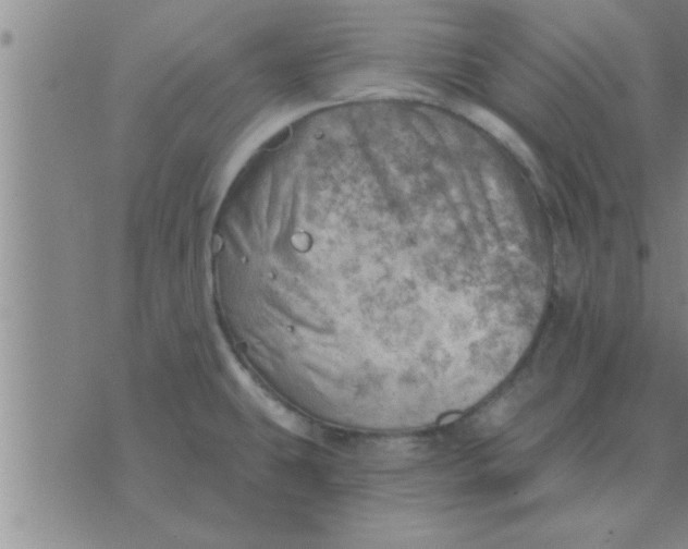 X0000074341431200609152111