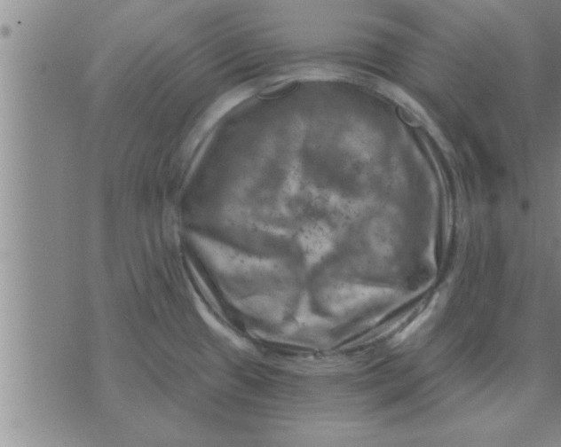 X0000074341433200609152111