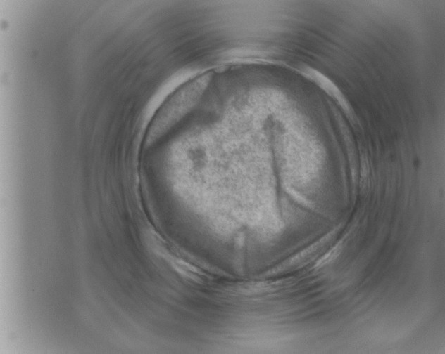 X0000074341435200609152111