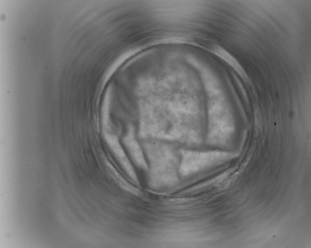 X0000074341436200609152111