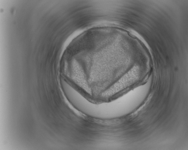 X0000074341437200609152111