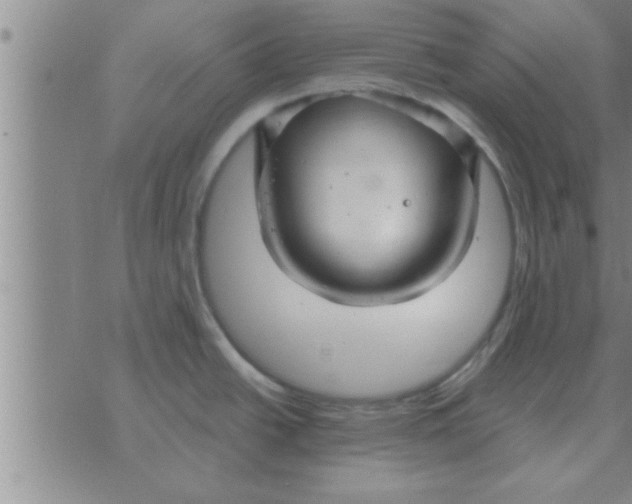 X0000074341438200609152111