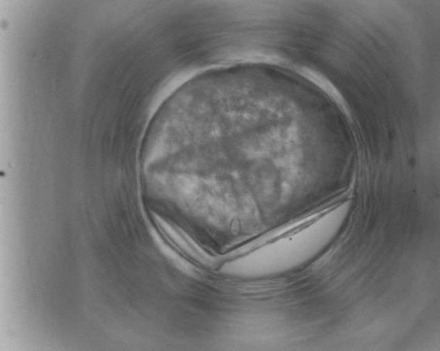 X0000074341439200609152111