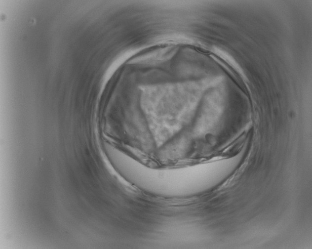 X0000074341440200609152111