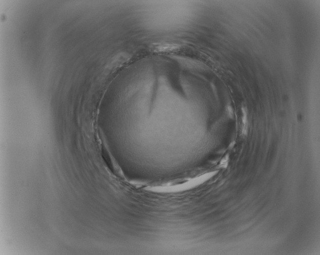 X0000074341441200609152110