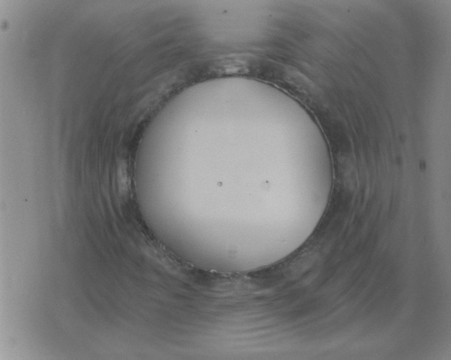 X0000074341442200609152110