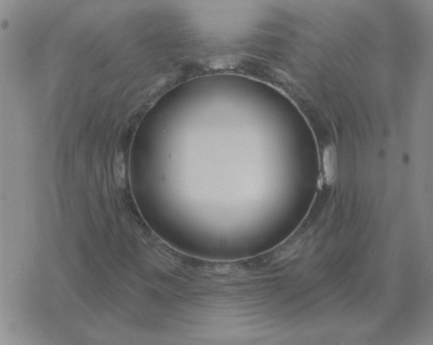 X0000074341443200609152110