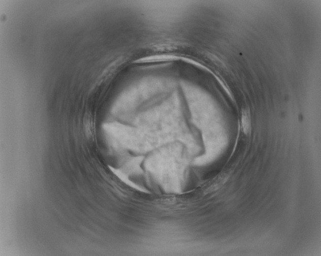 X0000074341444200609152110