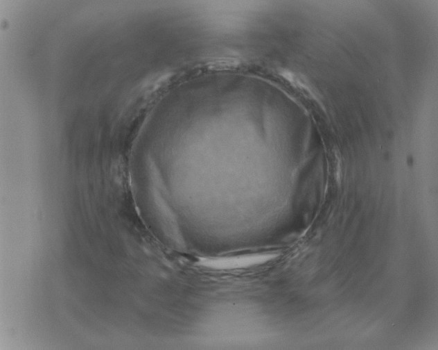 X0000074341445200609152110