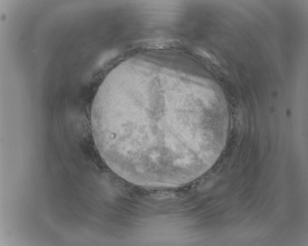 X0000074341446200609152110