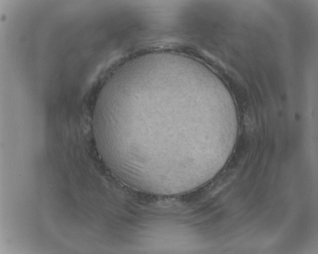 X0000074341447200609152110