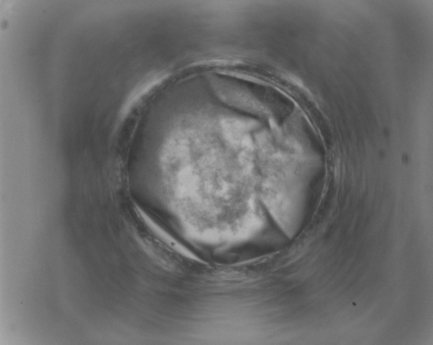 X0000074341448200609152110