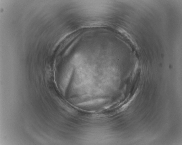 X0000074341449200609152110