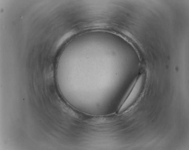 X0000074341450200609152110