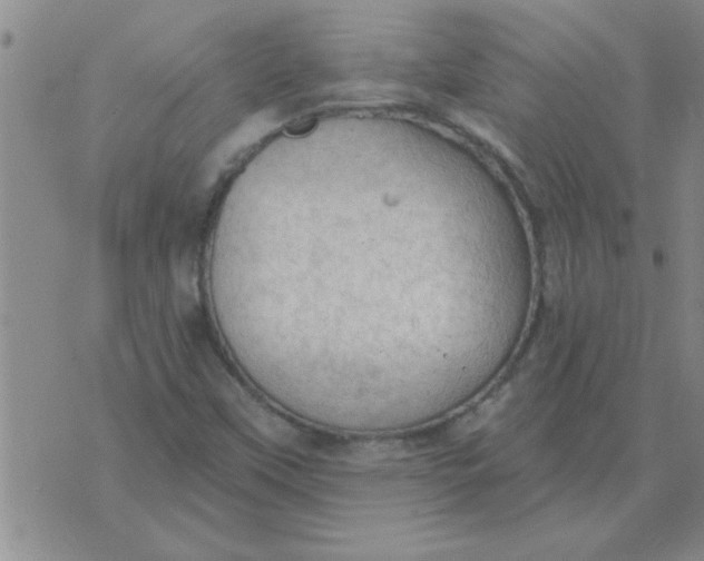 X0000074341451200609152110