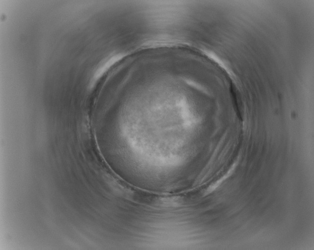 X0000074341453200609152110