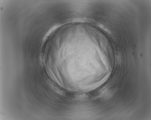 X0000074341454200609152110