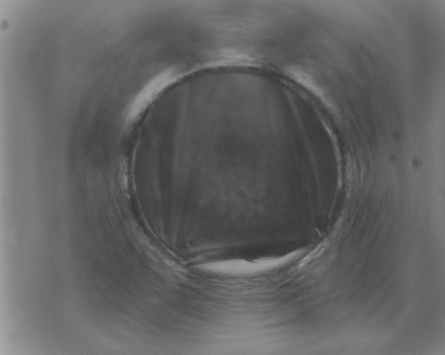 X0000074341455200609152110