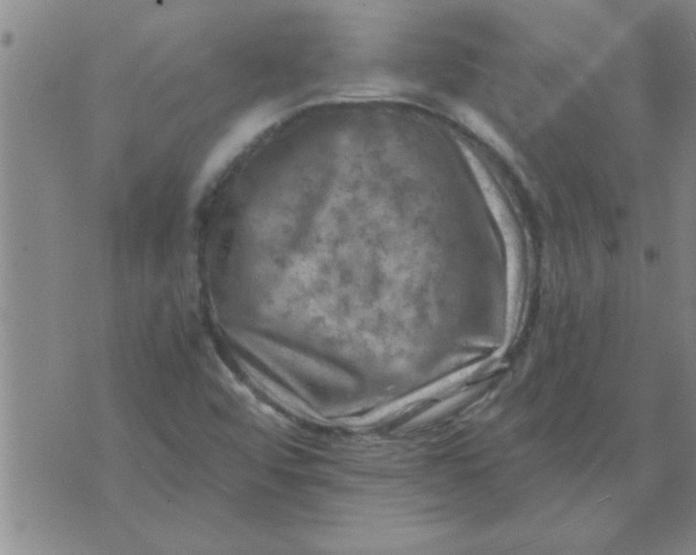 X0000074341456200609152110